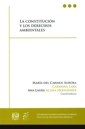 CONSTITUCIÓN Y LOS DERECHOS AMBIENTALES, LA