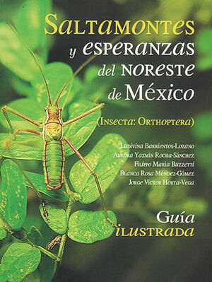 SALTAMONTES Y ESPERANZAS DEL NORESTE DE MEXICO