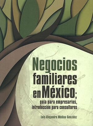 NEGOCIOS FAMILIARES EN MÉXICO