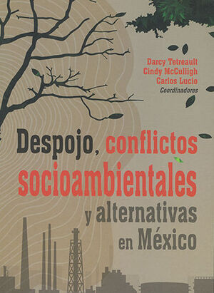 DESPOJO, CONFLICTOS SOCIAMBIENTALES Y ALTERNATIVAS EN MÉXICO