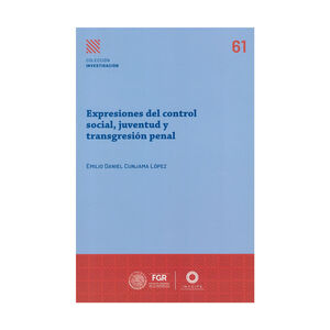 EXPRESIONES DE CONTROL SOCIAL, JUVENTUD Y TRANSGRESIÓN PENAL - 1.ª ED. 2025