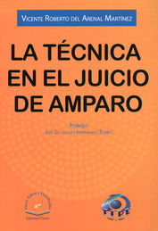 TECNICA EN EL JUICIO DE AMPARO, LA