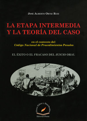 ETAPA INTERMEDIA Y LA TEORIA DEL CASO, LA - 1.ª ED. 2016