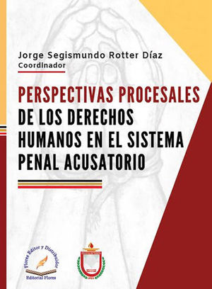 PERSPECTIVAS PROCESALES DE LOS DERECHOS HUMANOS EN EL SISTEMA PENAL ACUSATORIO - 1.ª ED. 2020