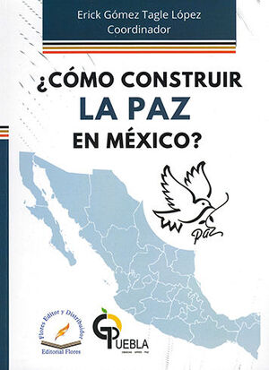 CÓMO CONSTRUIR LA PAZ EN MÉXICO?