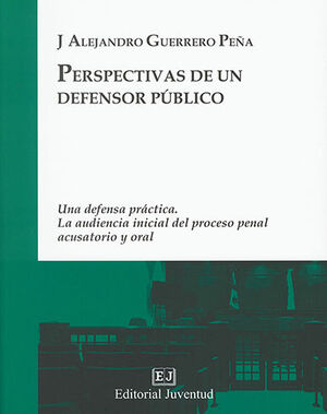 PERSPECTIVAS DE UN DEFENSOR PÚBLICO