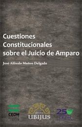 CUESTIONES CONSTITUCIONALES DEL JUICIO DE AMPARO - 1.ª ED. 2013