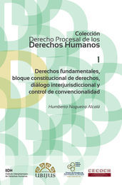 DERECHOS FUNDAMENTALES, BLOQUE CONSTITUCIONAL DE DERECHOS, DIÁLOGO INTERJURISDICCIONAL (NÚMERO 1) - 1.ª ED. 2014