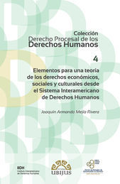 ELEMENTOS PARA UNA TEORÍA DE LOS DERECHOS ECONÓMICOS, SOCIALES Y CULTURALES DESDE EL SISTEMA INTERAMERICANO DE DERECHOS HUMANOS (NÚMERO 4) - 1.ª ED. 2015