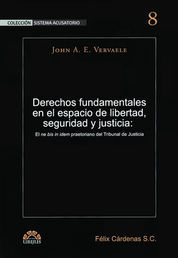 DERECHOS FUNDAMENTALES EN EL ESPACIO DE LIBERTAD, SEGURIDAD Y JUSTICIA - 1.ª ED. 2015