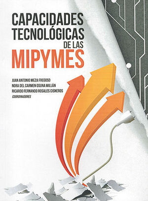 CAPACIDADES TECNOLÓGICAS DE LAS MIPYMES