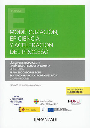 MODERNIZACIÓN, EFICIENCIA Y ACELERACIÓN DEL PROCESO (PAPEL + E-BOOK) - 1.ª ED. 2023