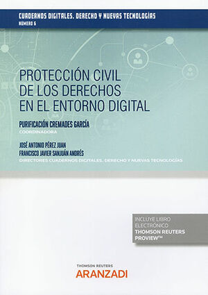 PROTECCIÓN CIVIL DE LOS DERECHOS EN EL ENTORNO DIGITAL (PAPEL + E-BOOK) - 1.ª ED. 2022