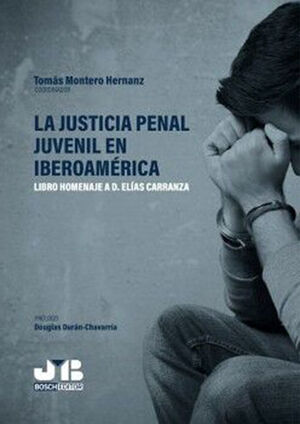 JUSTICIA PENAL JUVENIL EN IBEROAMÉRICA, LA