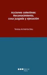 ACCIONES COLECTIVAS: RECONOCIMIENTO, COSA JUZGADA Y EJECUCIÓN - 1.ª ED. 2013