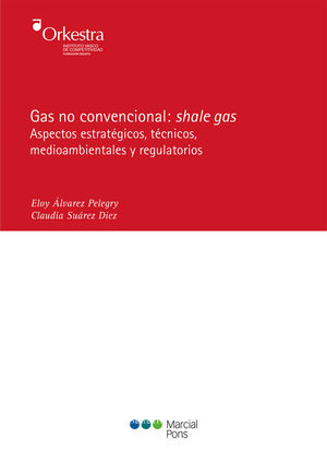 GAS NO CONVENCIONAL: SHALE GAS