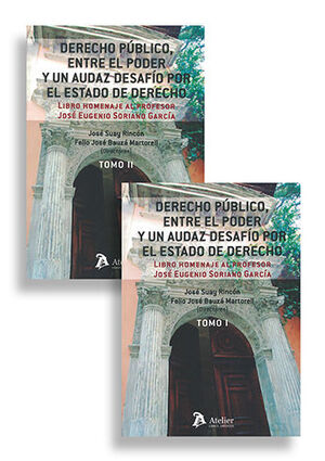 DERECHO PÚBLICO, ENTRE EL PODER Y UN AUDAZ DESAFÍO POR EL ESTADO DE DERECHO (2 TOMOS) - 1.ª ED. 2023