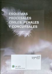 ESQUEMAS PROCESALES CIVILES, PENALES Y CONCURSALES.