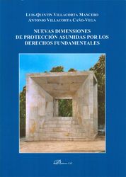 NUEVAS DIMENSIONES DE PROTECCIÓN ASUMIDAS POR LOS DERECHOS FUNDAMENTALES - 1.ª ED. 2013