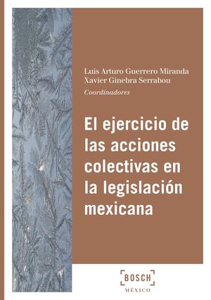 EJERCICIO DE LAS ACCIONES COLECTIVAS EN LA LEGISLACIÓN MEXICANA, EL