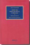 DERECHO, DERECHO PENAL Y PROCESO. TOMO II.