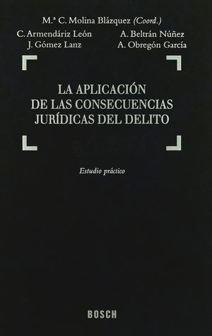 APLICACIÓN DE LAS CONSECUENCIAS JURÍDICAS DEL DELITO, LA