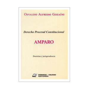 AMPARO. DERECHO PROCESAL CONSTITUCIONAL - ED. 2004