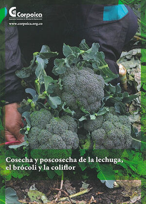 COSECHA Y POSCOSECHA DE LA LECHUGA EL BROCOLI Y LA COLIFLOR