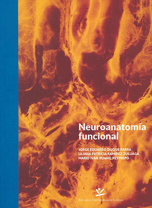 NEUROANATOMÍA FUNCIONAL