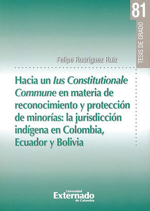 HACIA UN IUS CONSTITUTIONALE COMMUNE EN MATERIA DE RECONOCIMIENTO Y PROTECCION DE MINORIAS