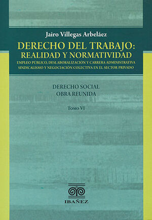 DERECHO DEL TRABAJO: REALIDAD Y NORMATIVIDAD. TOMO VI  - 1.ª ED.
