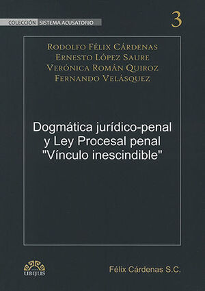 DOGMÁTICA JURÍDICO-PENAL Y LEY PROCESAL PENAL VÍNCULO INESCINDIBLE - 1.ª ED. 2010