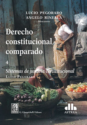 DERECHO CONSTITUCIONAL COMPARADO - TOMO 4