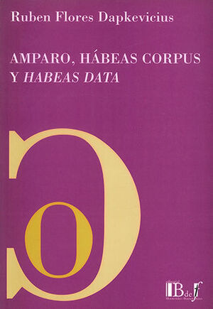 AMPARO, HÁBEAS CORPUS Y HABEAS DATA - 3.ª ED. 2011