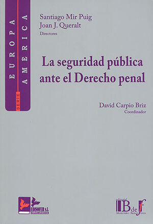 SEGURIDAD PÚBLICA ANTE EL DERECHO PENAL, LA