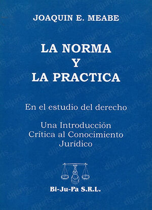 NORMA Y LA PRACTICA EN EL ESTUDIO DEL DERECHO, LA - 1.ª ED. 1999