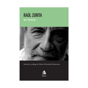 RAÚL ZURITA EN BREVE - 2.ª ED. 2020