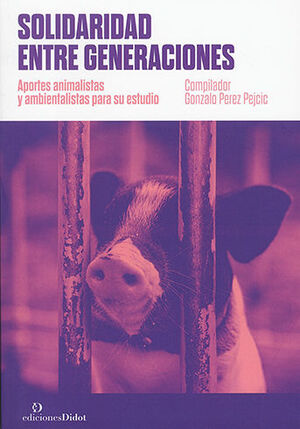 SOLIDARIDAD ENTRE GENERACIONES - 1.ª ED. 2023