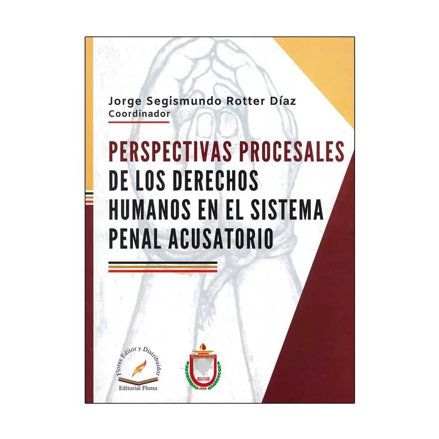 PERSPECTIVAS PROCESALES DE LOS DERECHOS HUMANOS EN EL SISTEMA PENAL ACUSATORIO - 1.ª ED. 2020
