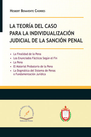 TEORÍA DEL CASO PARA LA INDIVIDUALIZACIÓN JUDICIAL DE LA SANCIÓN PENAL, LA