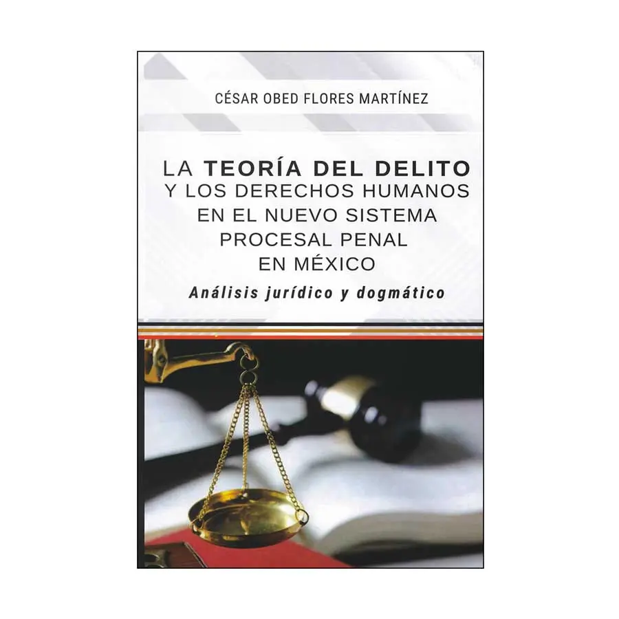 TEORÍA DEL DELITO Y LOS DERECHOS HUMANOS EN EL NUEVO SISTEMA PROCESAL PENAL EN MÉXICO, LA