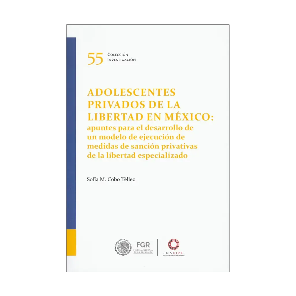 ADOLESCENTES PRIVADOS DE LA LIBERTAD EN MÉXICO - 1.ª ED. 2024
