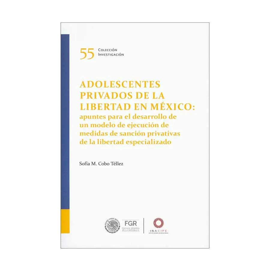 ADOLESCENTES PRIVADOS DE LA LIBERTAD EN MÉXICO - 1.ª ED. 2024
