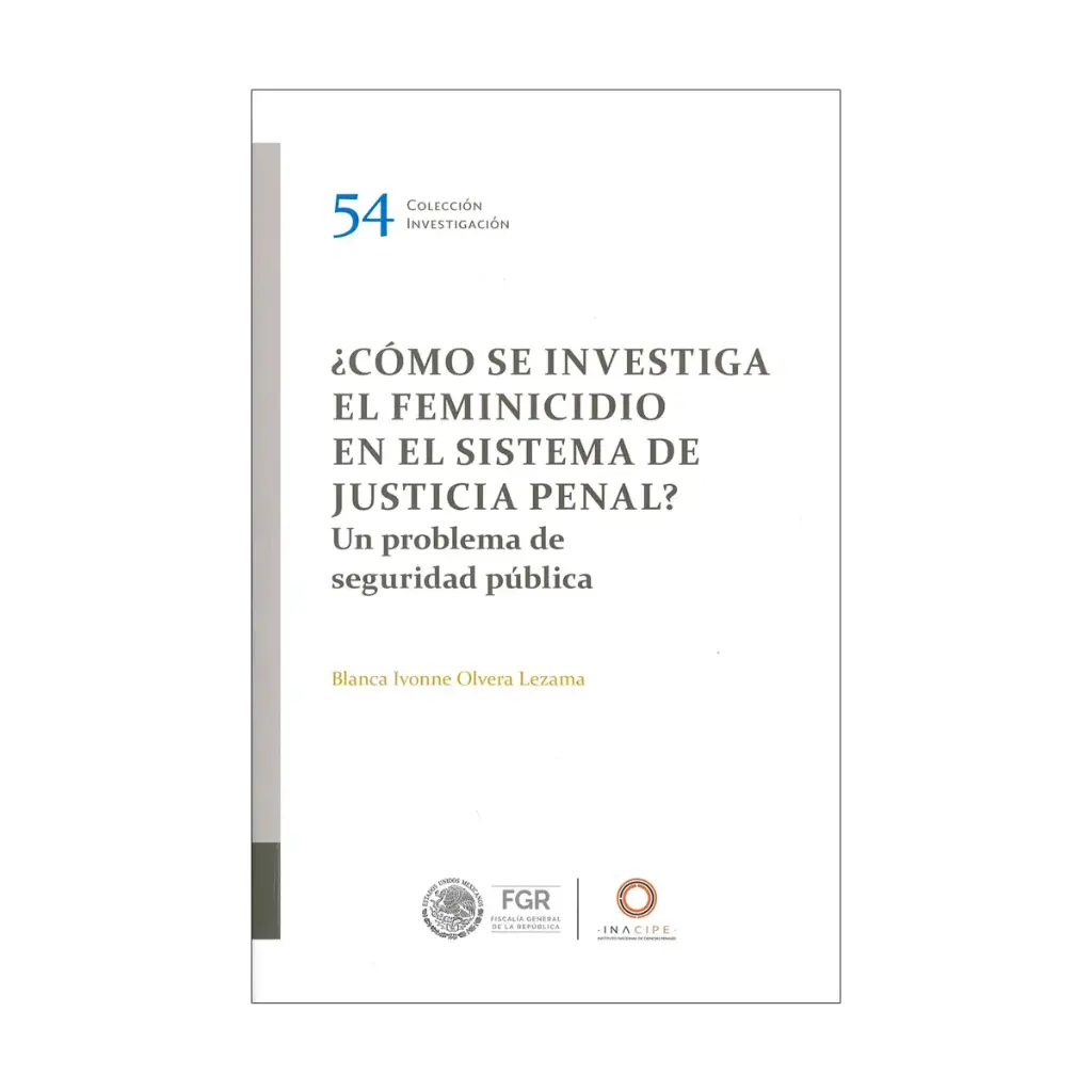 CÓMO SE INVESTIGA EL FEMINICIDIO EN EL SISTEMA DE JUSTICIA PENAL? - 1.ª ED. 2024