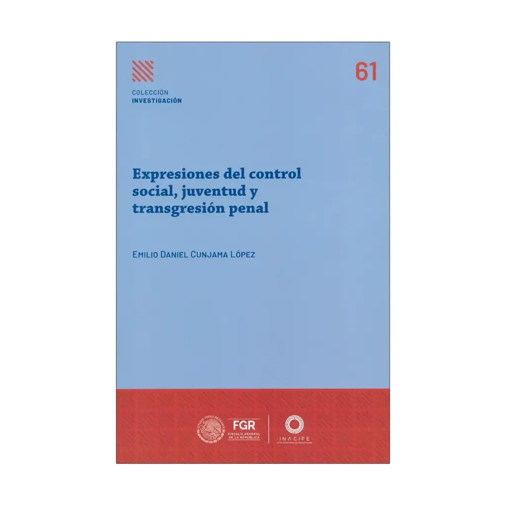 EXPRESIONES DE CONTROL SOCIAL, JUVENTUD Y TRANSGRESIÓN PENAL - 1.ª ED. 2025
