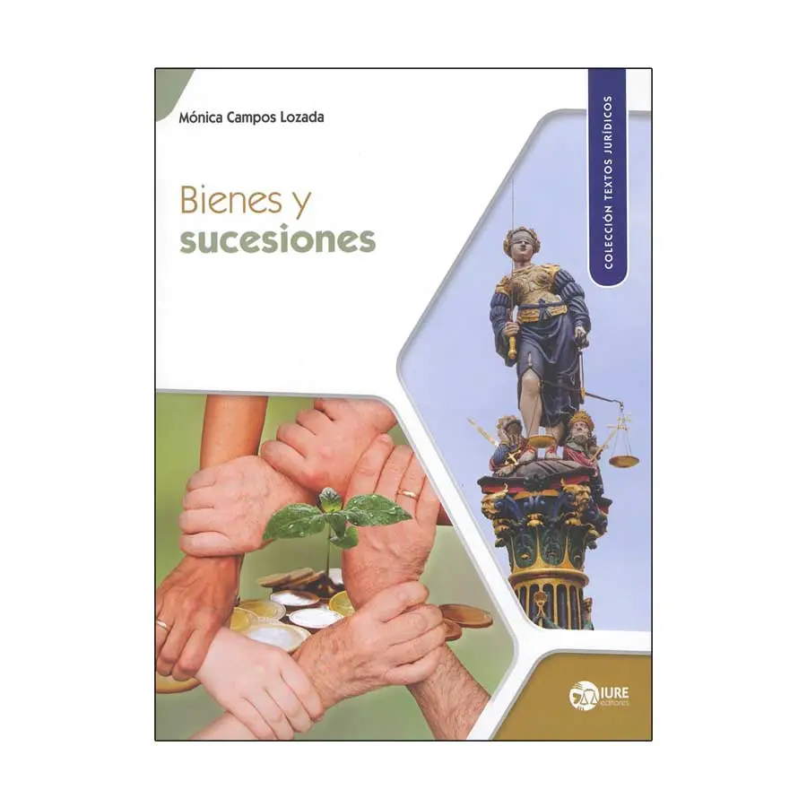BIENES Y SUCESIONES - 1.ª ED. 2021