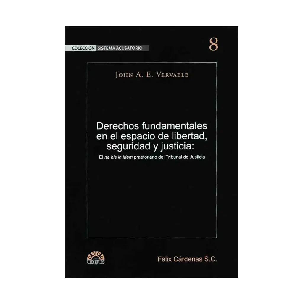 DERECHOS FUNDAMENTALES EN EL ESPACIO DE LIBERTAD, SEGURIDAD Y JUSTICIA - 1.ª ED. 2015