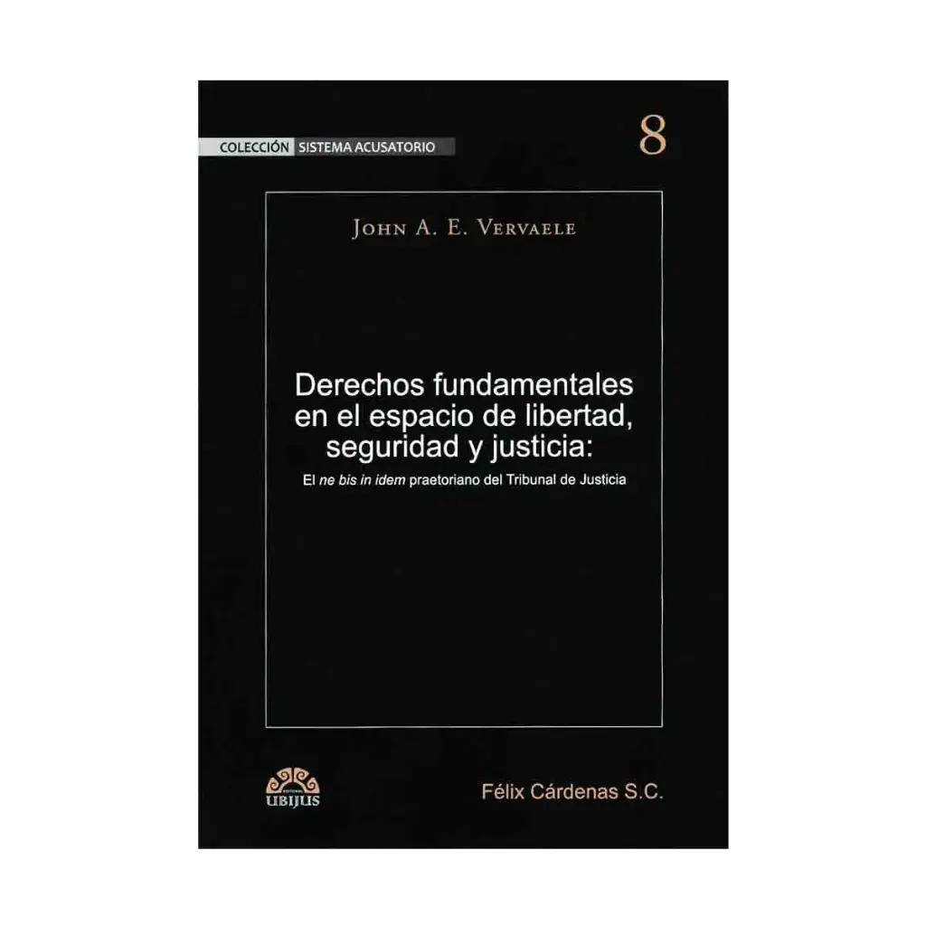 DERECHOS FUNDAMENTALES EN EL ESPACIO DE LIBERTAD, SEGURIDAD Y JUSTICIA - 1.ª ED. 2015