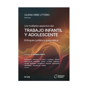 [9789870347941] MULTIPLES ASPECTOS DEL TRABAJO INFANTIL Y ADOLESCENTE, LOS - 1.ª ED. 2024