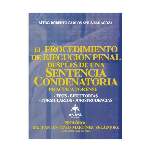[9789684536289] PROCEDIMIENTO DE EJECUCIÓN PENAL DESPÚES DE UNA SENTENCIA CONDENATORIA, EL